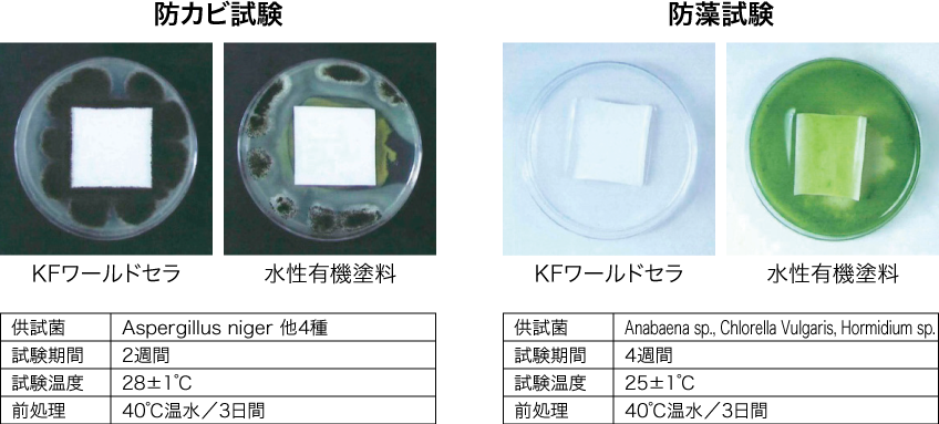防藻・防カビ性能比較